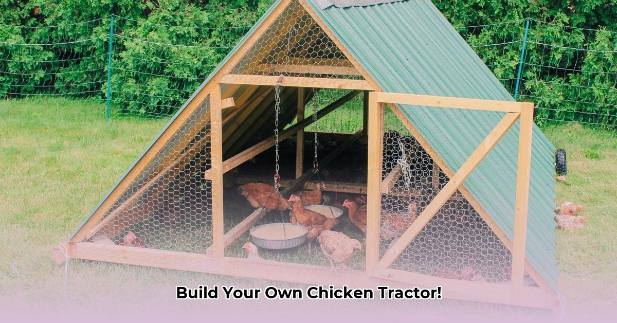 plans-for-a-chicken-tractor